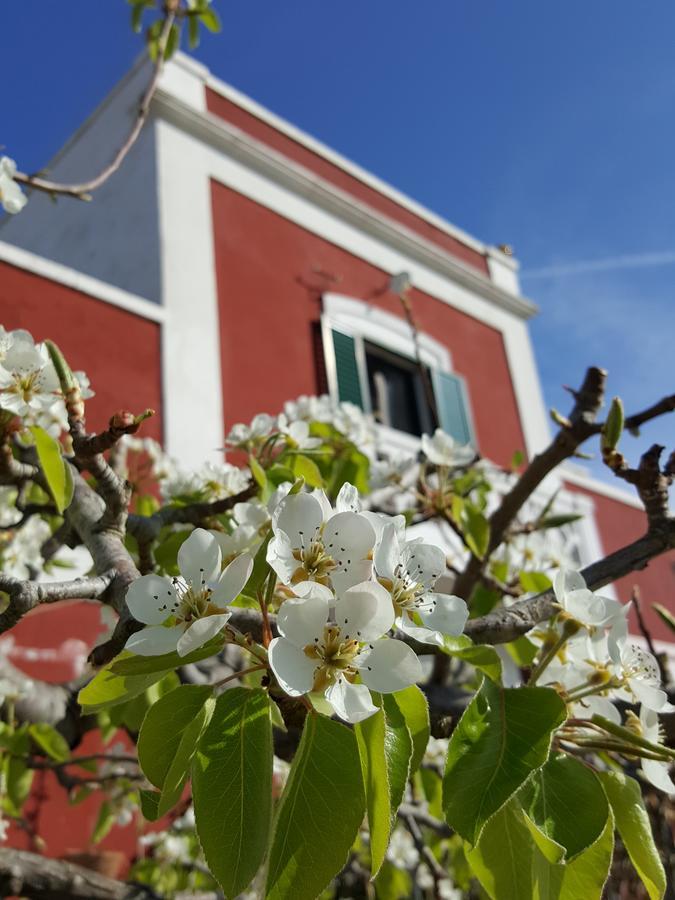 Masseria Trulli Sull'Aia Cisternino Bagian luar foto